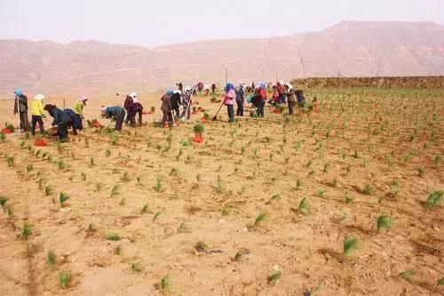 十个创业九个死的原因到底是什么,十个创业九个死哪些行业是重灾区