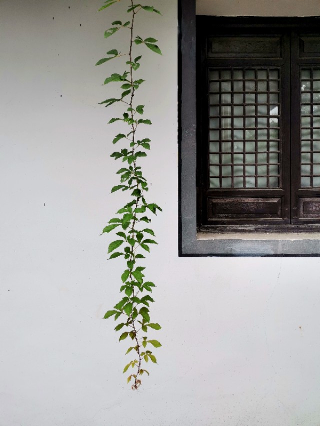 绍兴越王山的历史传说,绍兴古越龙山风景区