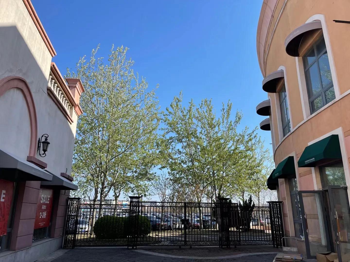 天津空港七彩花田几月去最好,空港七彩花田坐几路公交车去