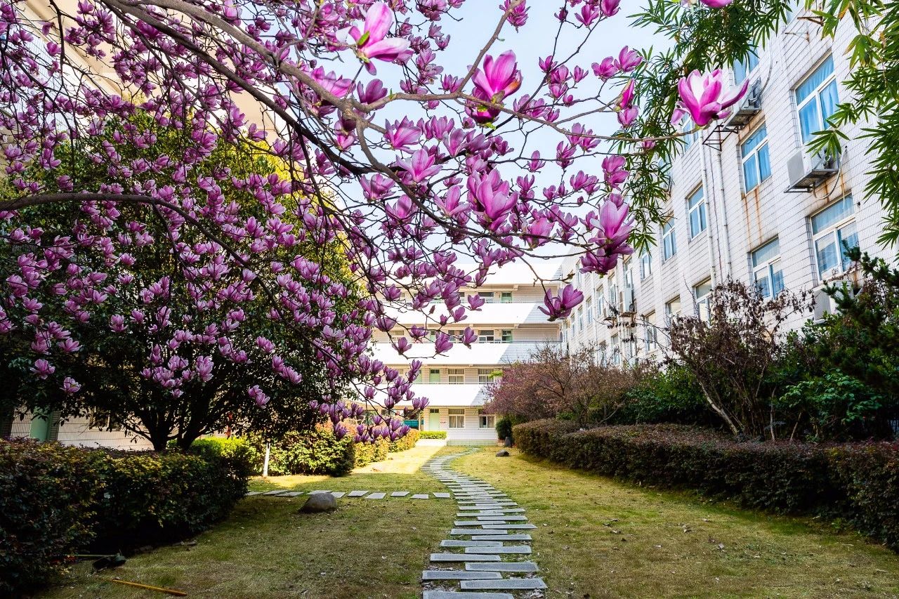 29中初中部有多少考上南师附中,29中尖子班