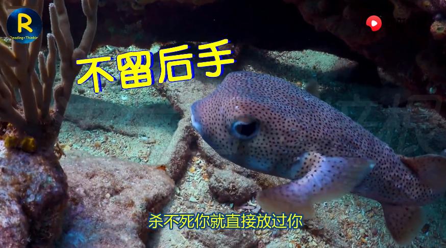 一不小心中了河豚毒，如何科学的保命呢？西瓜视频带你看看