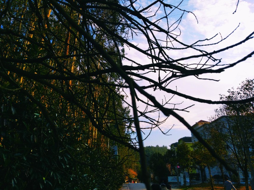 贵州盛华职业学院招生办电话,贵州盛华职业学院靠谱吗