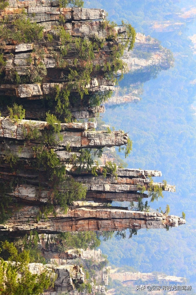 张家界森林公园亲子游攻略,张家界旅游攻略现在张家界气温