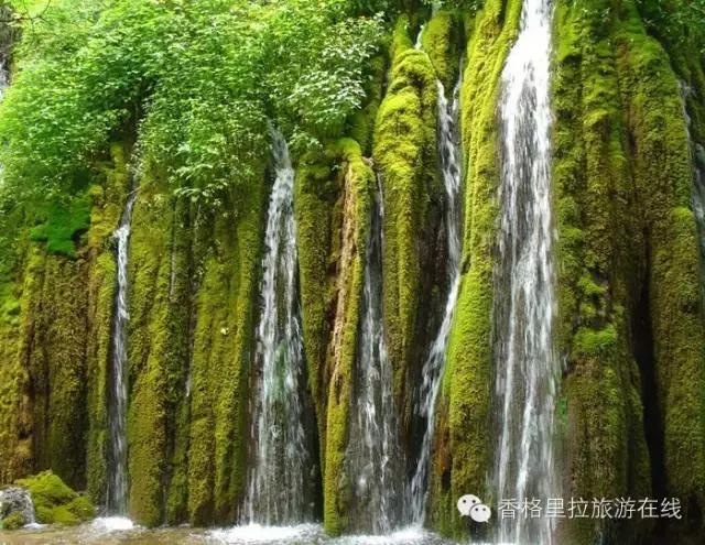 丽江去香格里拉路途中有什么景点,丽江到香格里拉走214国道打卡景点