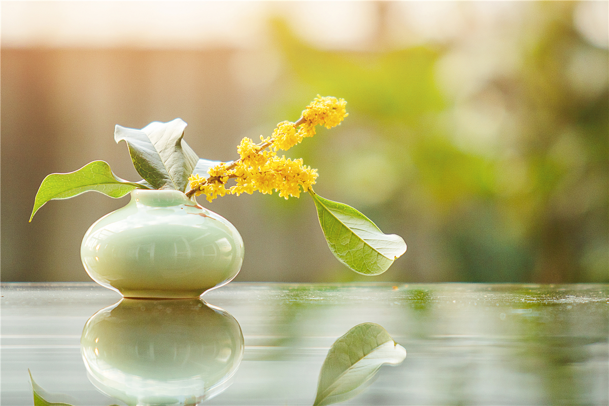 秋天苏州游玩,苏州旅游攻略秋天