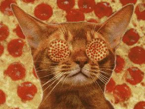 至尊比萨好吃不贵,至尊比萨下午餐