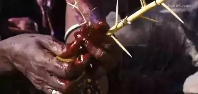 从沙漠牧羊女到世界名模,世界顶级名模牧羊女