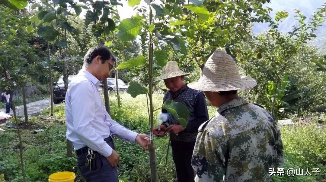 花博士五福系列,花博士花艺生活