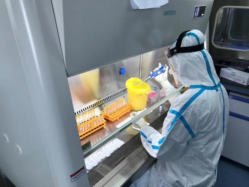 感冒发热,担心“中招”;回哈复工,要求体检…咋检测?流程在这儿呢!