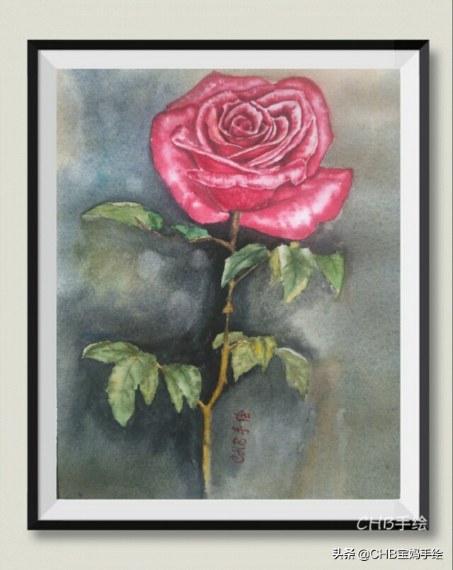 水彩画初学者零基础教程玫瑰花,水彩画教程入门玫瑰花慢教程