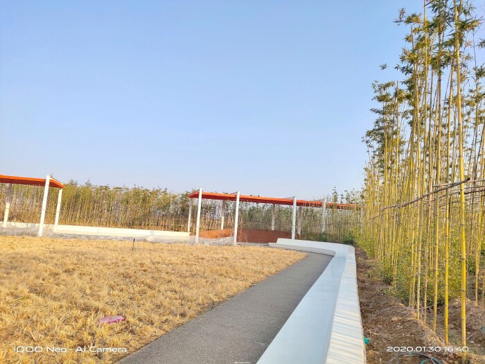 iqooneo855打王者有哪些功能,iqooneo855和竞速版的区别在哪