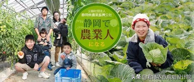 中国和日本农业到底有什么样的差距，不得不承认！