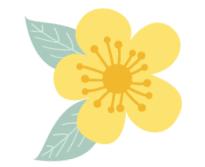 庆三八送健康暨健康知识讲座,庆三八礼品