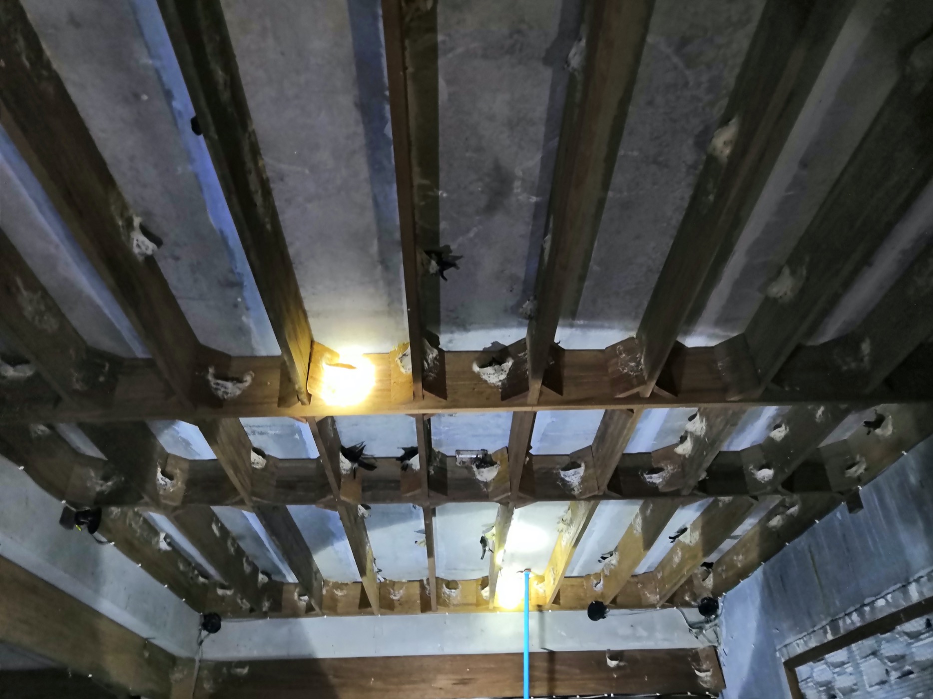 老婆怀孕了我在外地没人照顾,老婆怀孕我去外地出差