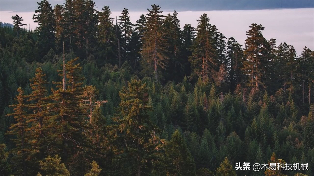 国外树桩拉拔机视频,德国最牛逼的树桩拉拔机