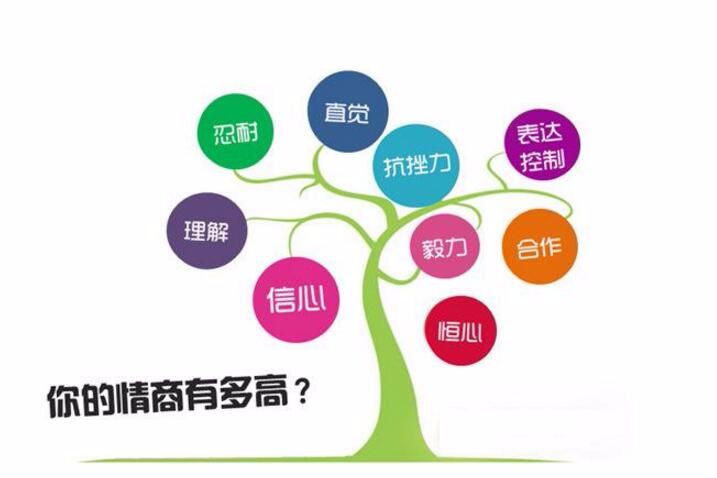 高智商和高情商的区别是什么,高情商与高智商有什么区别