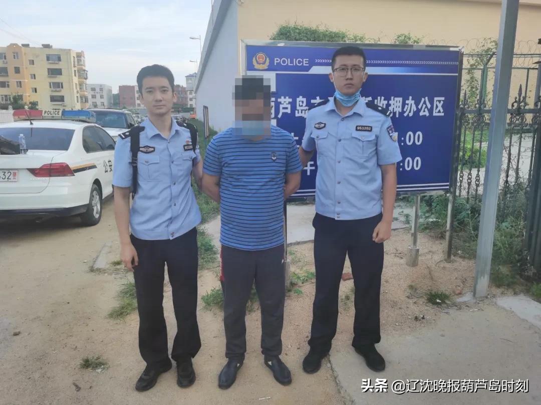 葫芦岛新闻今天,葫芦岛今日新闻日报