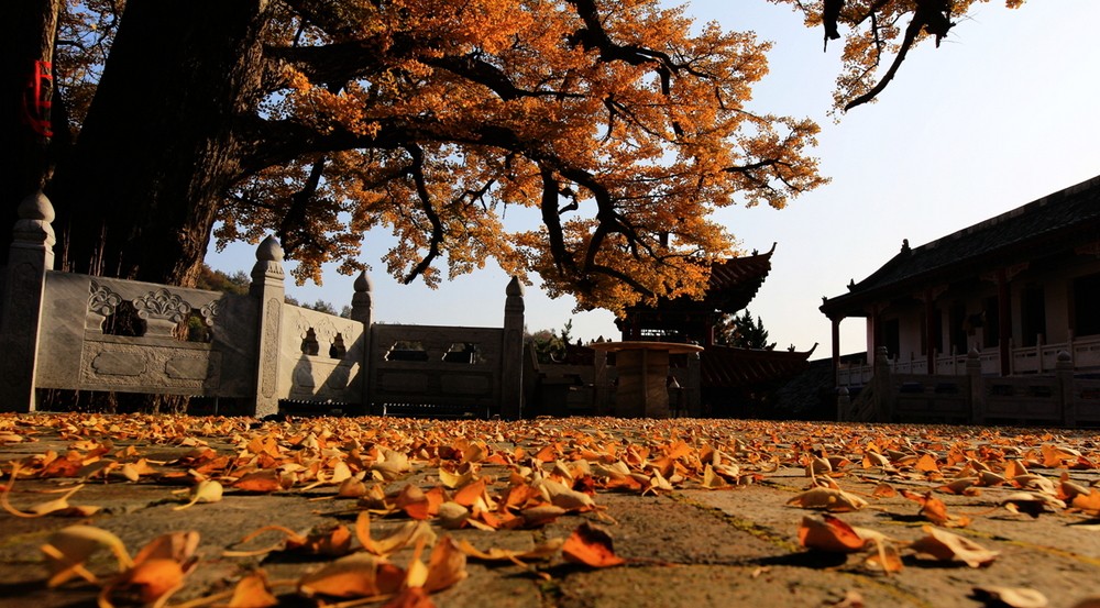 千年古刹鲁山文殊寺,鲁山文殊寺景区