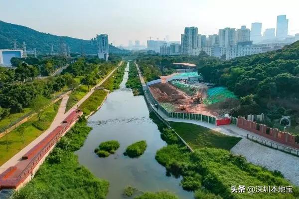 深圳有哪些地方免费景点,深圳都有什么景点免费游玩
