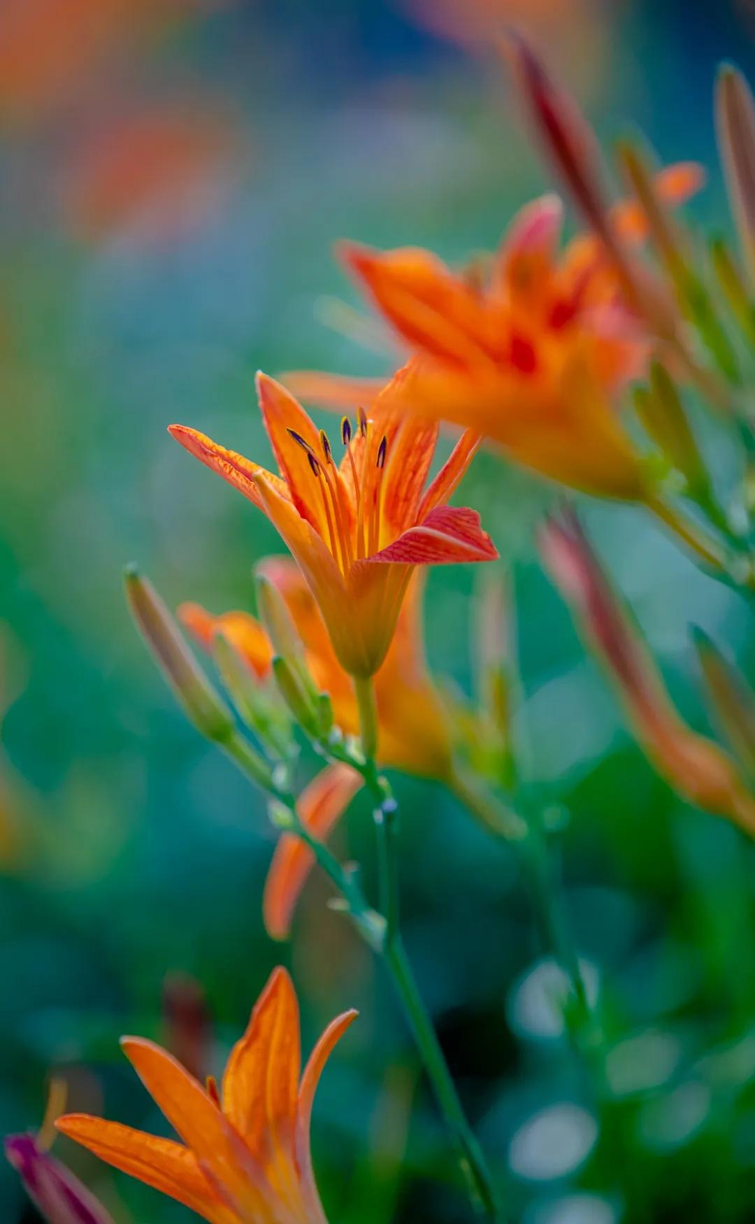在济南花式避暑，一见“清”心！只需一瞥，便足以把酷夏原谅…