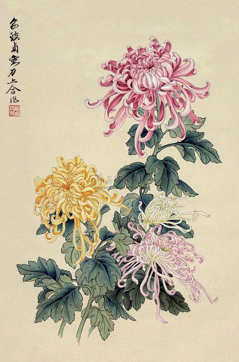 菊花的品格和精神,菊花的美丽什么意思