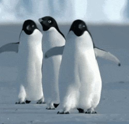 准妈妈走路时像企鹅,孕妇为什么走路是企鹅式