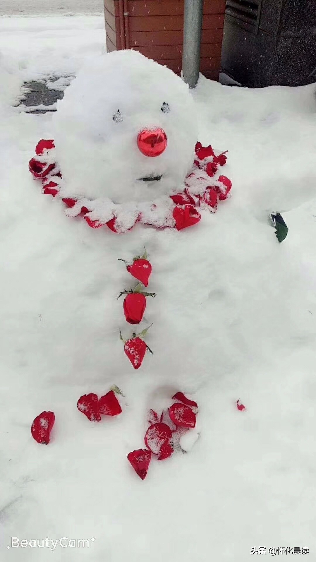 一场雪惊艳了一座城视频,一场雪激发了多少创造力