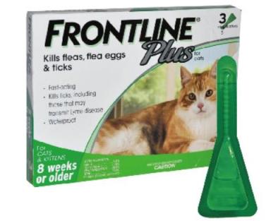 猫咪体外驱虫最好的药是什么,猫咪体外驱虫用什么药好