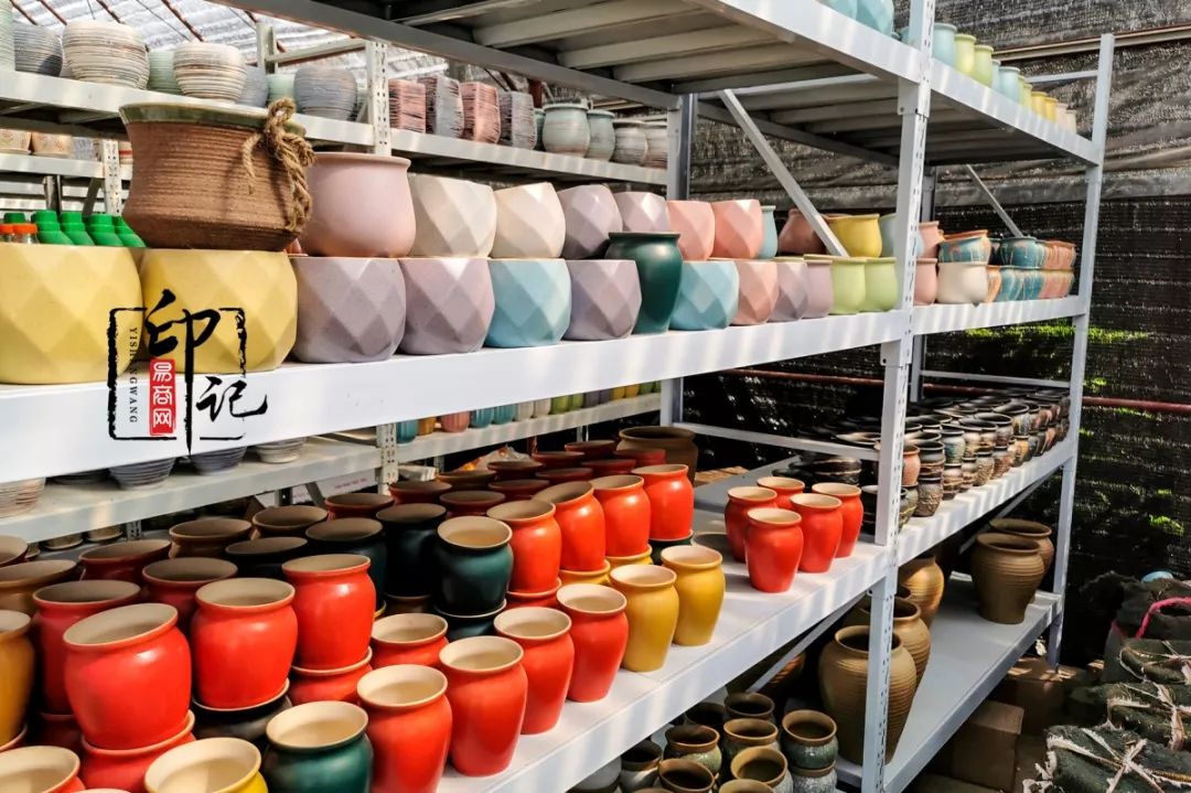 商丘道北花鸟批发市场,商丘花鸟宠物市场