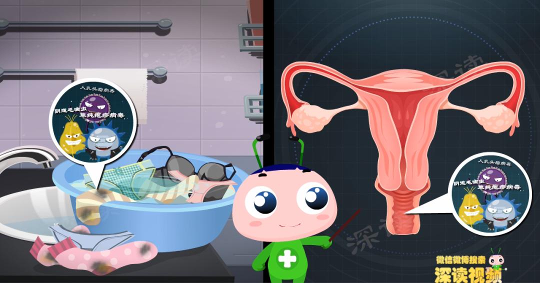 乖乖女竟得宫颈炎?宫颈炎就是淋病?动漫揭秘宫颈炎发病机制!燃