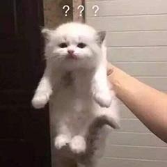 五菱又要造爆款车型了,五菱跨界产品