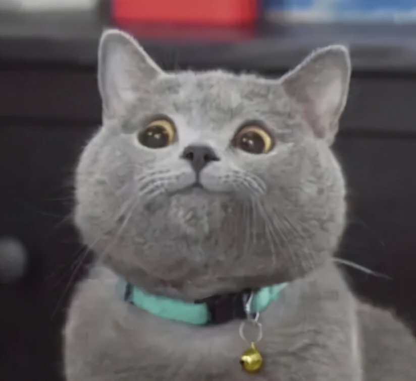 猫屎咖啡到底是什么,猫屎咖啡是怎样由来