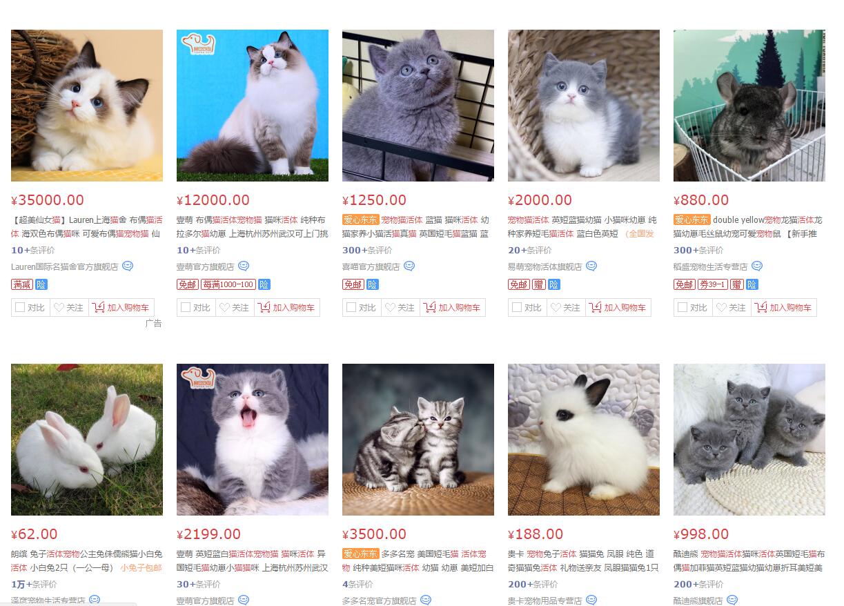 怎样避免买到星期猫,怎么判断是不是买到了星期猫