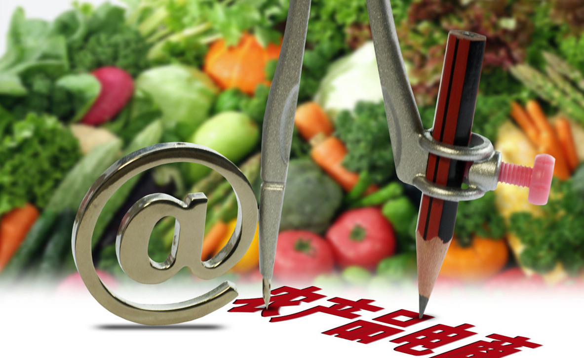 农产品电子商务发展的瓶颈,农产品电子商务思路