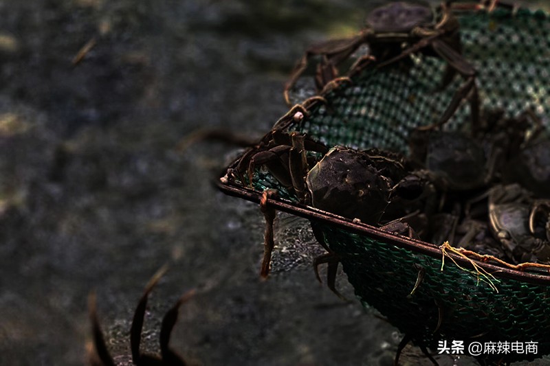 从印尼燕窝工厂到米兰Showroom京东11.11买手夜生活全揭秘