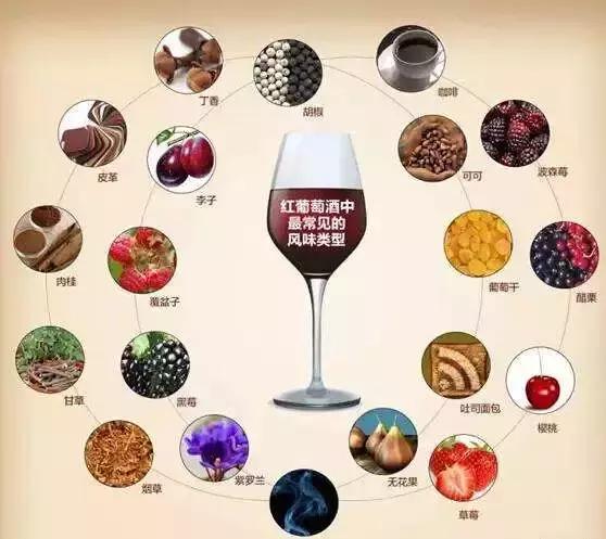 5个步骤教你正确品尝一款红酒,品红酒入门基础知识