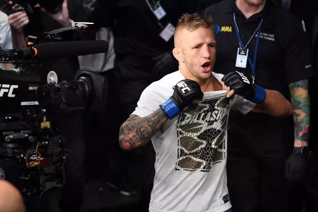 蝇量级比赛视频集锦,蝇量级最好比赛视频