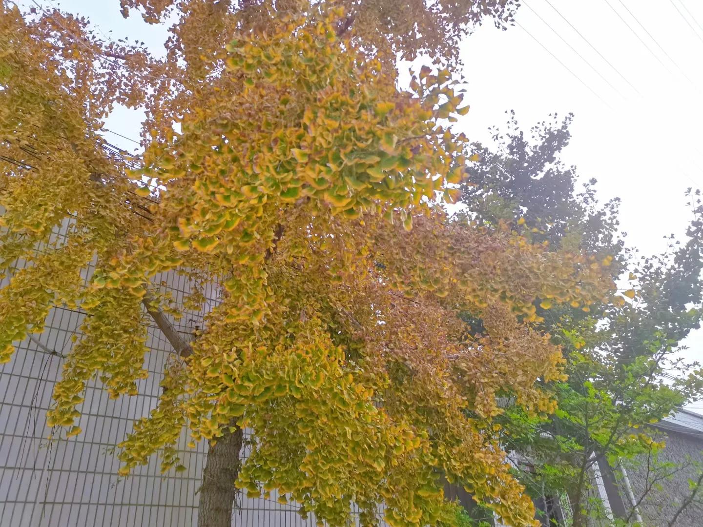 别去打扰别人的幸福漫画 (有一种善良叫不打扰别人的幸福)