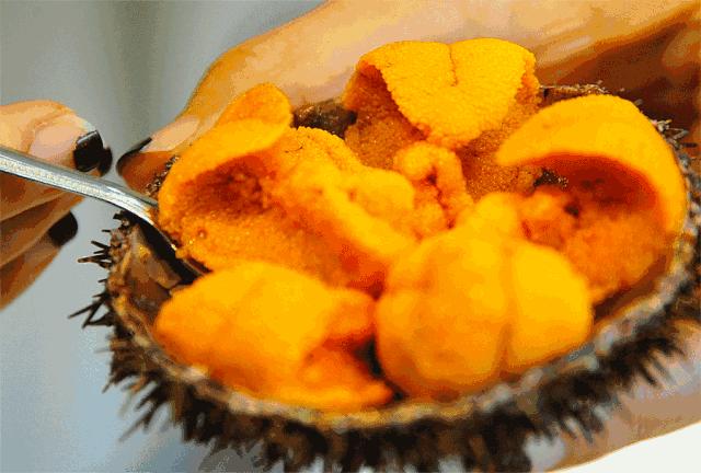 大连最浪漫的十个地方,大连浪漫景色