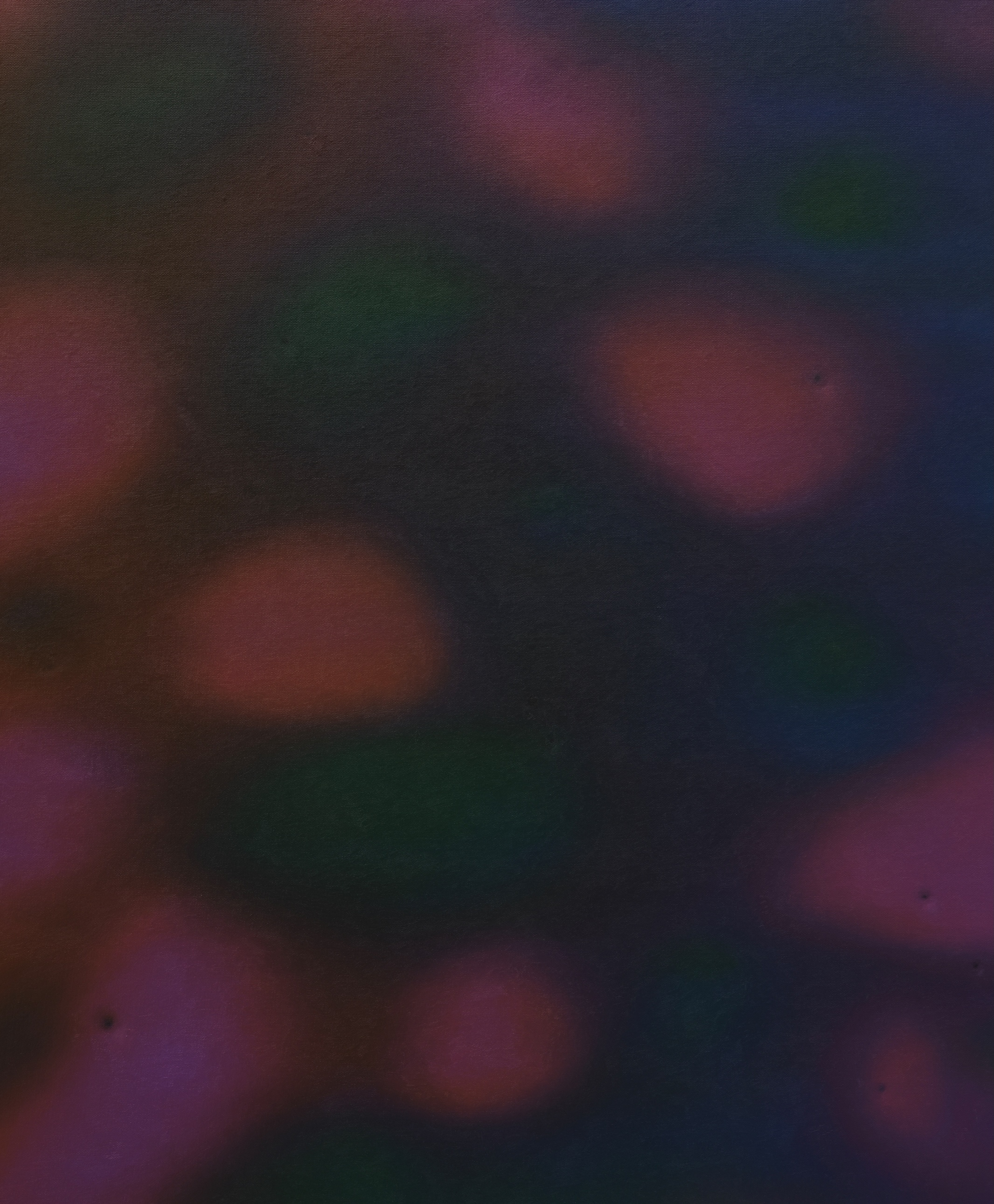 两端之间：万杨的绘画｜艺术栗子