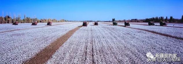 阿拉尔将成为南疆最大的城市,南疆阿拉尔市