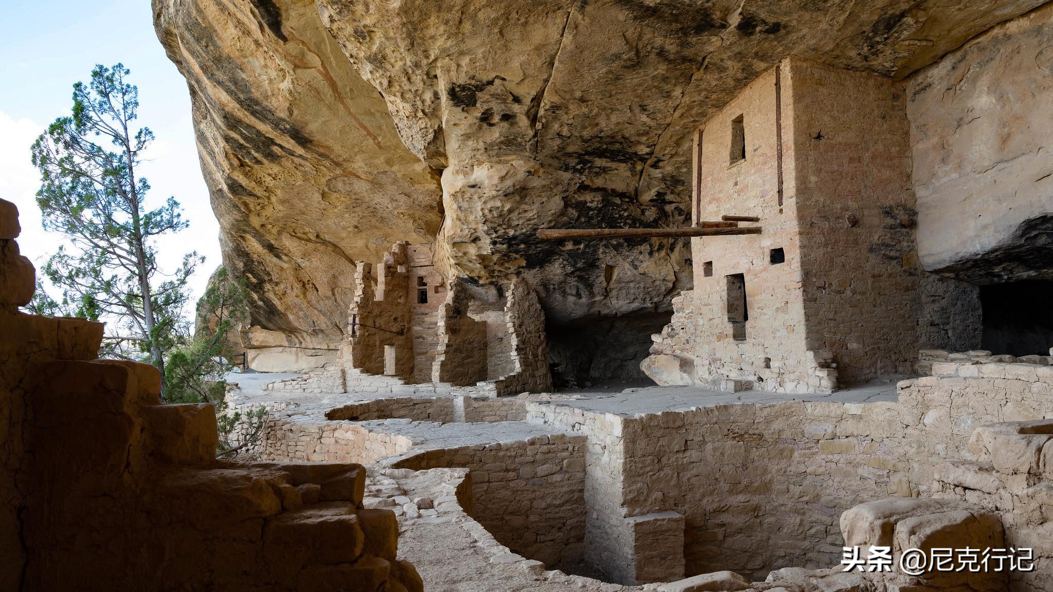 老汉被称为山顶洞人,山顶洞人隐居山洞