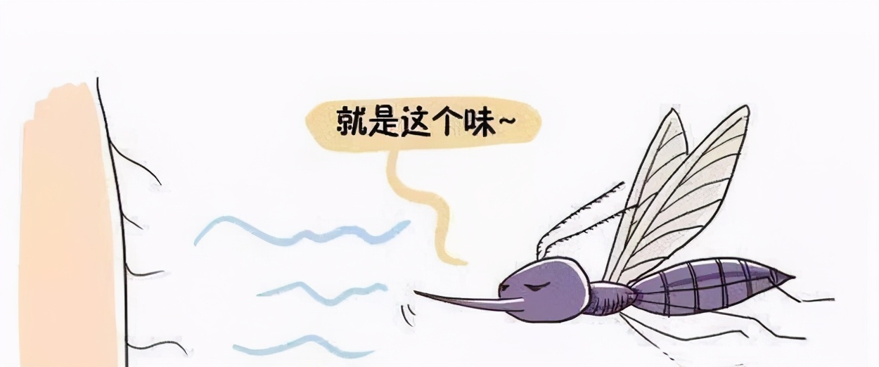 o型血是不是特别招蚊子,蚊子o型血不招蚊子