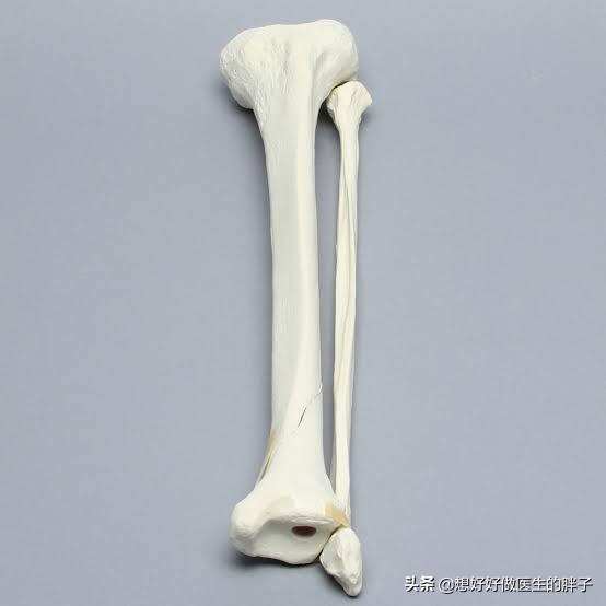 胫腓骨骨折的术前准备工作,胫腓骨下段骨折术前讨论