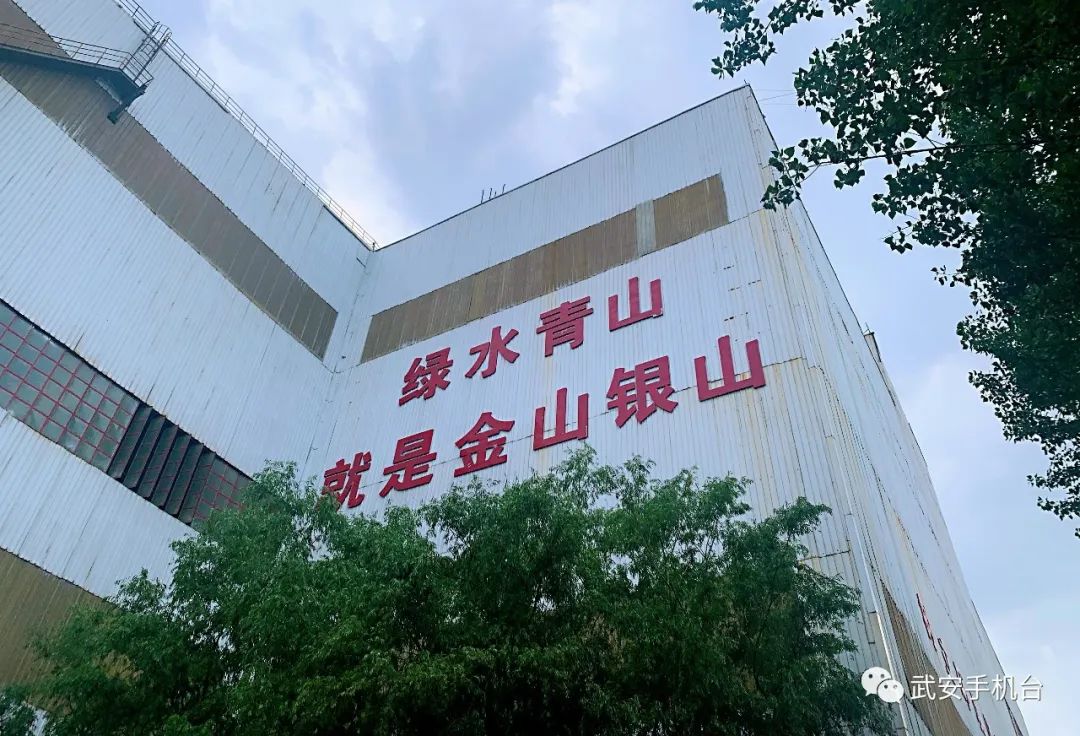 普阳钢铁2022年净利润,武安普阳钢铁纳税