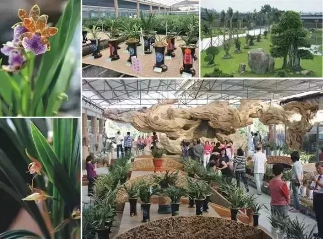 汕头濠江区十大旅游景点,汕头揭阳旅游必去十大景点