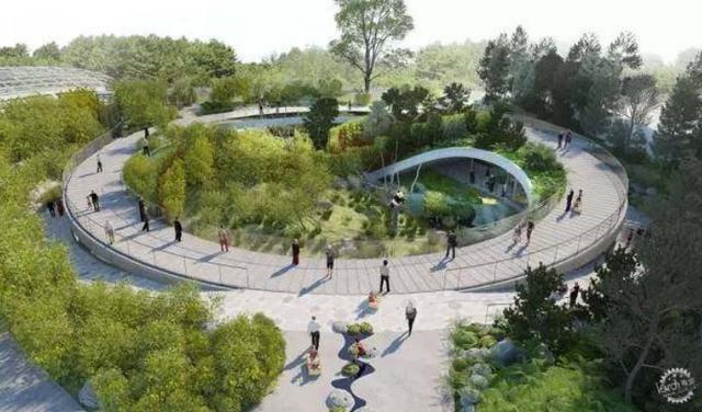 外国到底有多喜欢大熊猫,外国人是有多喜欢大熊猫