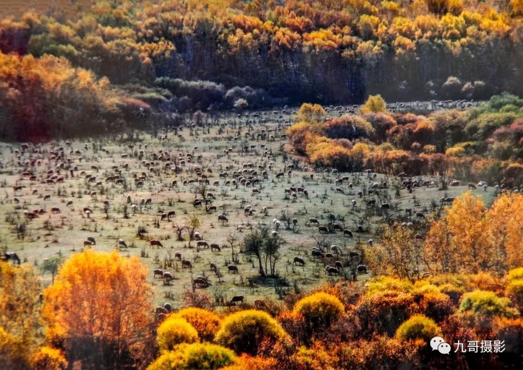 大美坝上草原全景,大美坝上风光系列之一