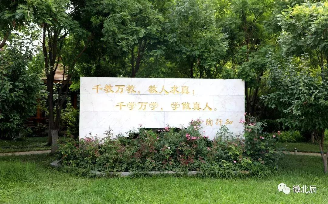 华辰学校荣誉背后的奥秘,我们都是追梦人高一