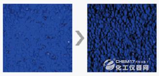 奥林巴斯显微镜,奥林巴斯数码显微镜品牌